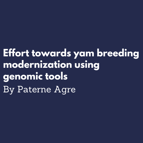 breeding modernization in yam breeding