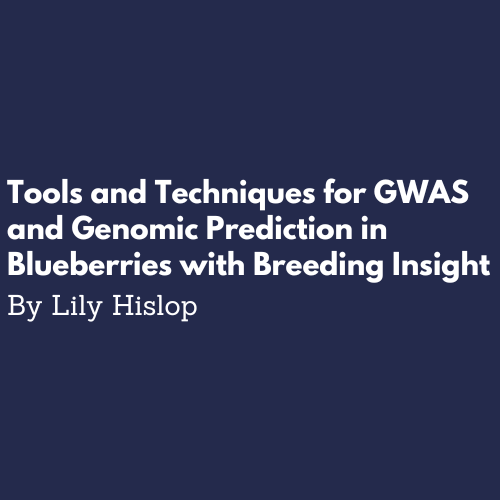 GWAS and genomic prediction in blueberries