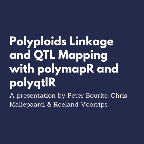 polymapR and polyqtlR updates