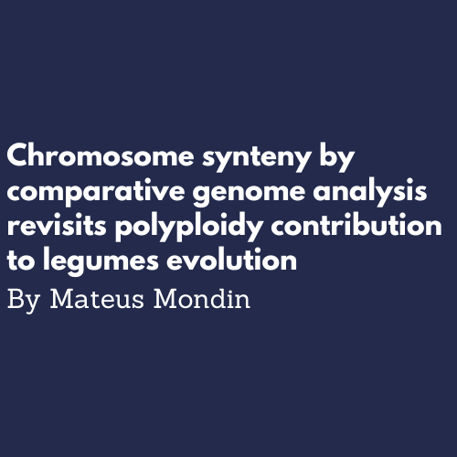 chromosome synteny and legume evolution