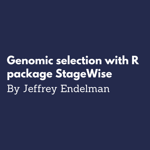 Genomic selection with R package StageWise