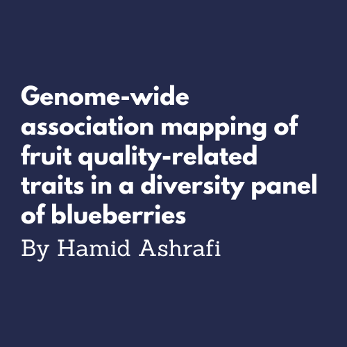 Genome-wide association mapping in blueberries