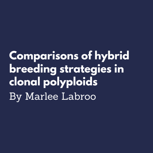Comparisons of hybrid breeding
