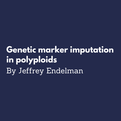 Genetic marker imputation