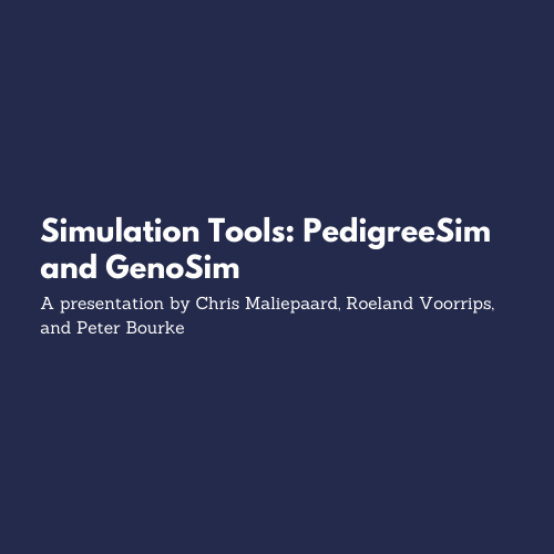 Simulation tools