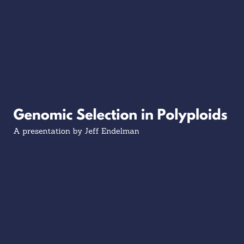 genomic selection in polyploids