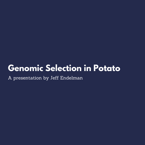 genomic selection in potato