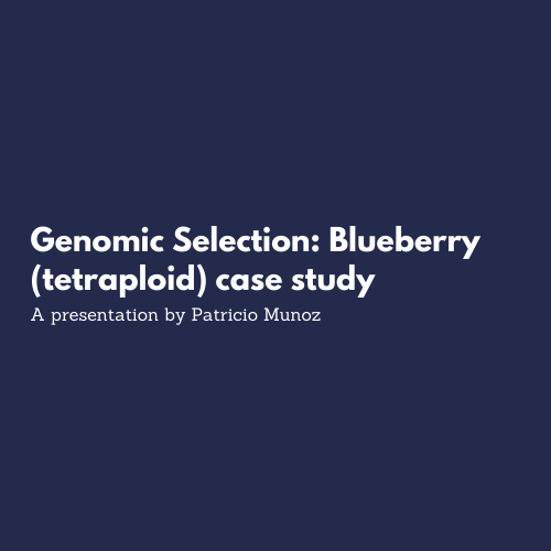 blueberry case study