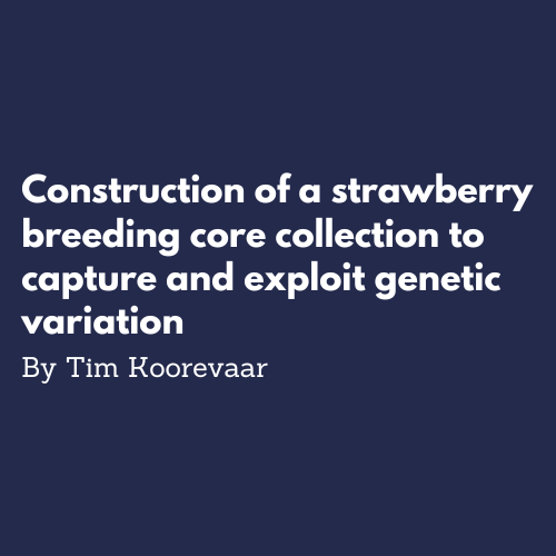 Construction of a strawberry breeding core collection