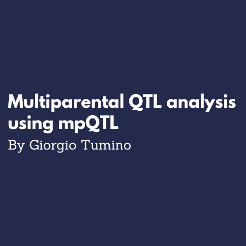 Multiparental QTL analysis