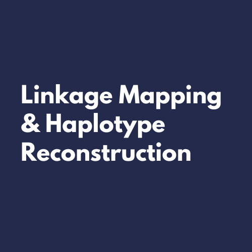 Linkage Mapping and Haplotype Reconstruction