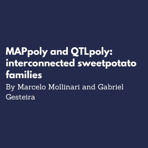 MAPpoly and QTLpoly