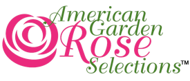 American Garden Rose Selections