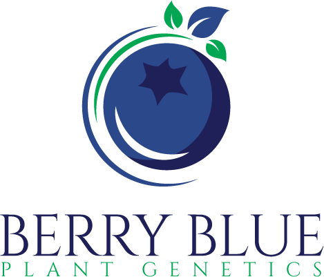 Berry Blue